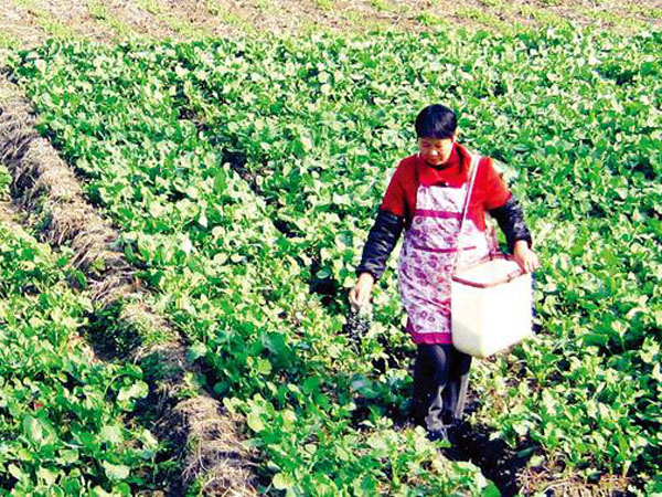 什么叫做肥料？